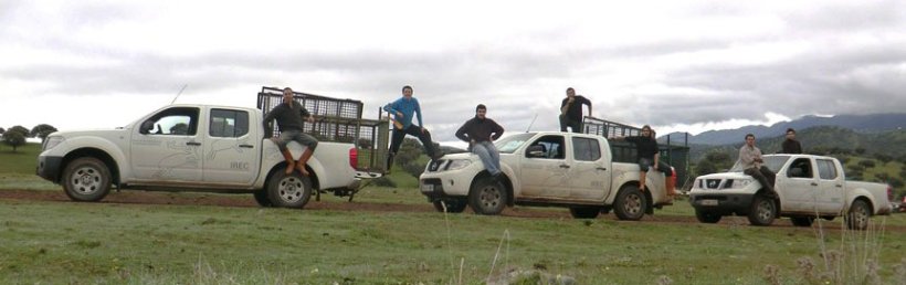 Foto 2. A coloca&ccedil;&atilde;o de armadilhas por caixas ou parques armadilha &eacute; uma op&ccedil;&atilde;o para actuar no javali, essencialmente em &aacute;reas n&atilde;o cineg&eacute;ticas, mas &eacute; caro e nem sempre eficiente.