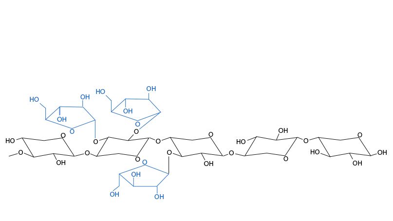 Figura 3. Estrutura qu&iacute;mica dos arabinoxilanos. As ramifica&ccedil;&otilde;es da arabinose e sua distribui&ccedil;&atilde;o variam entre cereais e entre variedades do mesmo cereal.