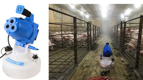 Figura 2. Exposi&ccedil;&atilde;o a aerossol de Mycoplasma hyopneumoniae de porcas de substitui&ccedil;&atilde;o