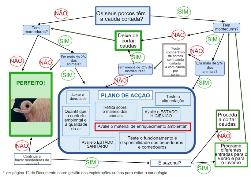 &Aacute;rvore de tomada de decis&atilde;o sobre o corte de caudas elaborado pela ANPROGAPOR
