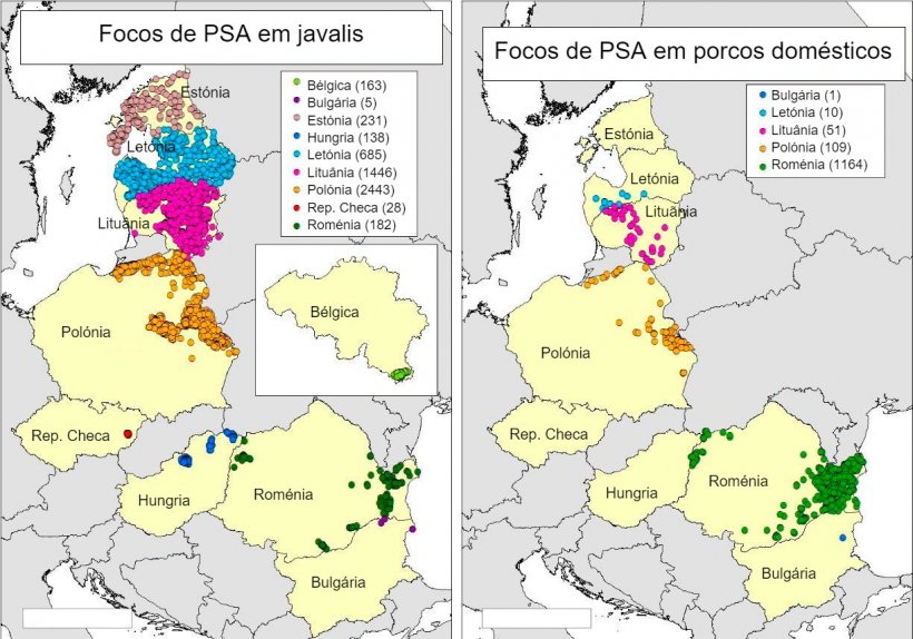 Mapa de focos declarados na Bélgica, Bulgária, Estónia, Hungria, Letónia, Lituânia, Polónia, Rep. Checa e Roménia em 2018 (Fonte RASVE-ADNS).
