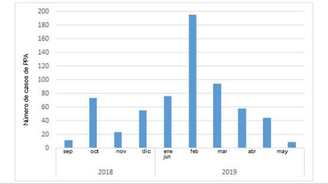 Número mensal de javalis selvagens positivos encontrados na Bélgica desde o primeiro caso, em Setembro de 2018 (fonte: ADNS em 07/08/2019).