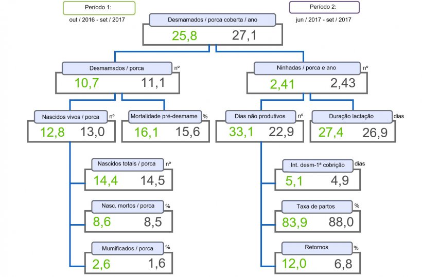 Figura 1. &Aacute;rvore de produtividade de leit&otilde;es desmamados/porca coberta e ano, compara&ccedil;&atilde;o entre dois per&iacute;odos.
