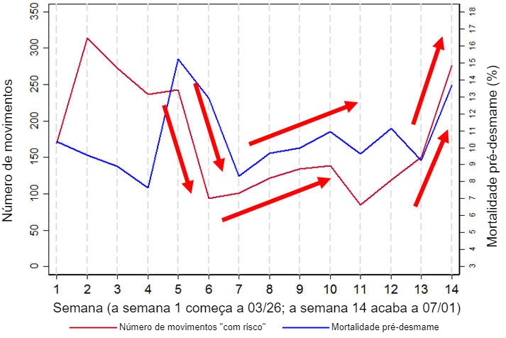 Figura 2. Gráfico que mostra a relação entre a mortalidade pré-desmame e o número de movimentos "com risco" (definidos como movimentos para/a partir dos cais de carga e/ou desmames). Estes dados são um sub-conjunto dos dados recolhidos durante 14 semanas em uma das explorações analisadas, a exploração 3.
