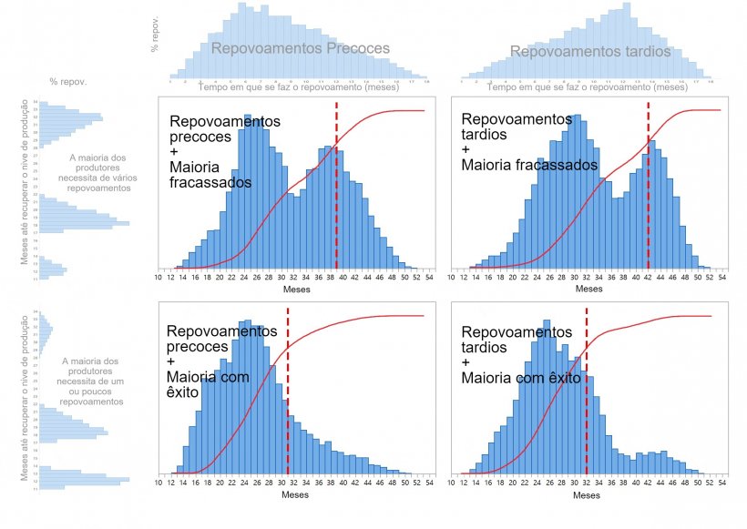 Gráfico 1. São descritos quatro padrões diferentes de repovoamento do efectivo suíno dependendo de quando se tomam as decisões de repovoamento (precoce/tardio: parte superior do gráfico) e o tempo necessário para restaurar totalmente a produção (um-poucos/várias tentativas isquerda do gráfico). As distribuições de probabilidade acumulada do tempo de recuperação são mostradas nas linhas a vermelho e as linhas pontilhadas a vermelho, mostram o número de meses necessários até atingir 80% do repovoamento.