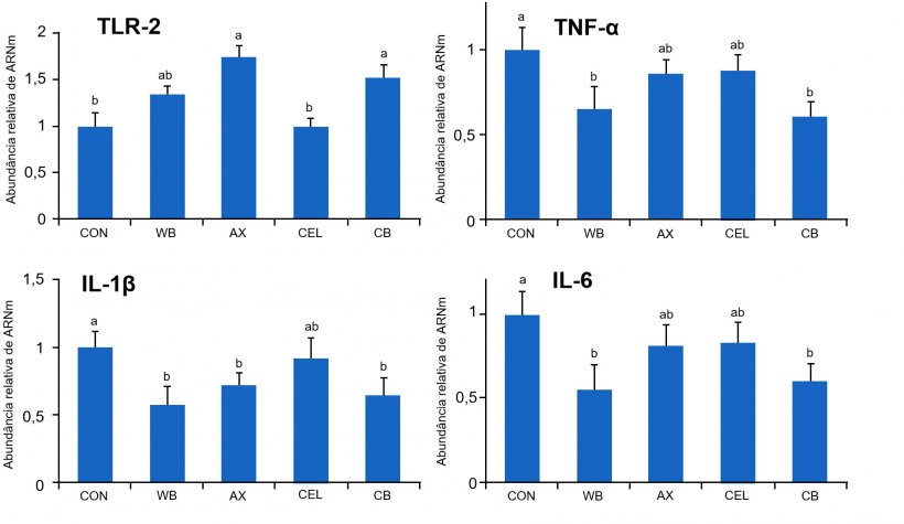 Figura 1. Efeito de distintas fontes de fibra na dieta sobre a express&atilde;o g&eacute;nica dos receptores TLR-2 e citoquinas pr&oacute;-inflamat&oacute;rias no intestino de leit&otilde;es desmamados. CON: dieta controlo sem componentes fibroso WB: dieta suplementada com 10% de s&ecirc;mea de trigo AX: dieta suplementada com uma quantidade de arabinoxilanos equivalente &agrave; fornecida por 10% de s&ecirc;mea de trigo CEL: dieta suplementada com uma quantidade de celulose equivalente &agrave; fornecida por 10% de s&ecirc;mea de trigo (CEL) CB: dieta suplementada com as mesmas quantidades de arabinoxilanos e celulose, conjuntamente. M&eacute;dias com distinta letra difierem de forma estat&iacute;sticamente significativa (p&lt;0,05). Fonte: Chen et col., 2016
