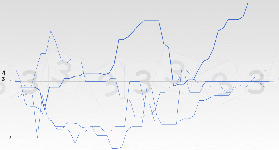 Evolu&ccedil;&atilde;o do pre&ccedil;o do porco no Brasil,&nbsp;Paran&aacute; (vivo).
