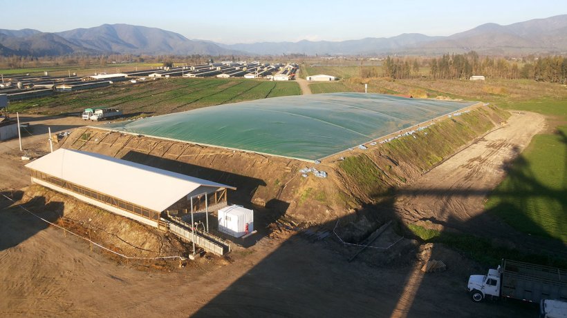 Figura 3: Lagoa anaer&oacute;bia coberta com recupera&ccedil;&atilde;o e aproveitamento energ&eacute;tico do biog&aacute;s no Plantel El Campesino (Agr&iacute;cola AASA, Chile). Foto: Alejandro Gebauer.
