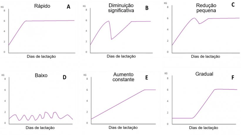 Figura 1. Padr&otilde;es de alimenta&ccedil;&atilde;o de porcas lactantes descritos por Koketsu et al (1996a). A) R&aacute;pido aumento no consumo; B) diminui&ccedil;&atilde;o significativa; C) pequena redu&ccedil;&atilde;o; D) baixo consumo ao longo de toda a lacta&ccedil;&atilde;o; E) baixo consumo na primeira semana de lacta&ccedil;&atilde;o e aumento constante no resto da lacta&ccedil;&atilde;o; e F) aumento gradual de consumo.
