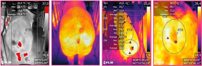 Figura 3: Imagen termogr&aacute;fica tomada mediante un dispositivo FLIR conectado a un Smartphone. Fuente: Ramis el al. 2017
