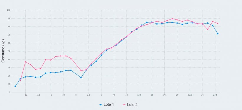 Figura 1. Consumo de ração a partir do dia 107 de gestação até ao desmame (dia 28 de lactação) de porcas alimentadas com um máximo de 2,8 kg/dia (Lote 1) e 4,2 kg/dia (Lote 2) de ração durante os dias anteriores ao parto.
