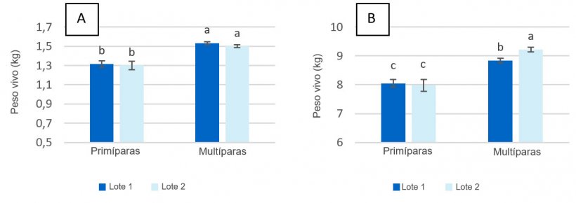 Figura 2. Peso vivo dos leit&otilde;es no momento do nascimento (A) e do desmame (dia 28 de lacta&ccedil;&atilde;o) (B) de porcas prim&iacute;paras e mult&iacute;paras alimentadas com um m&aacute;ximo de 2,80 kg/dia (Lote 1) e 4,20 kg/dia (Lote 2) de ra&ccedil;&atilde;o durante os dias anteriores ao parto.
