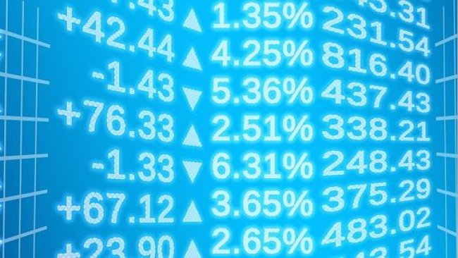 hog futures