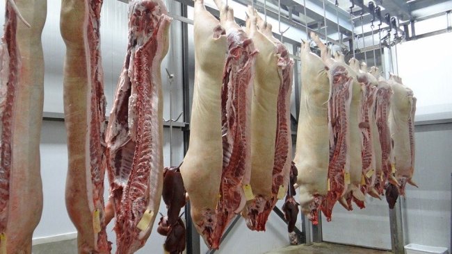 fleisch