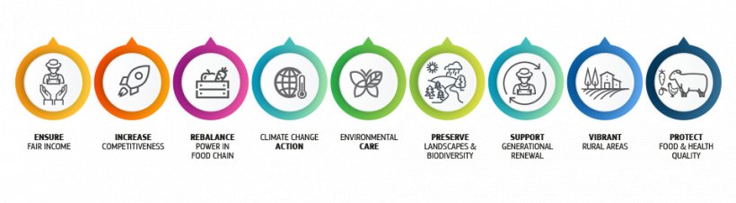 A futura PAC ir&aacute; basear-se em nove objectivos e continuar&aacute; a garantir o acesso a alimentos de elevada qualidade e a prestar um s&oacute;lido apoio ao excelente modelo agr&iacute;cola europeu.
