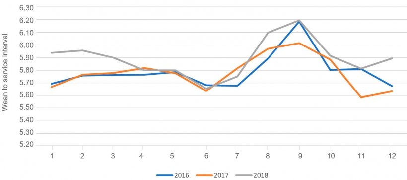 Figura 2. Intervalo desmame-cobrição em função do mês do ano Fonte: PigChamp Pro Europa
