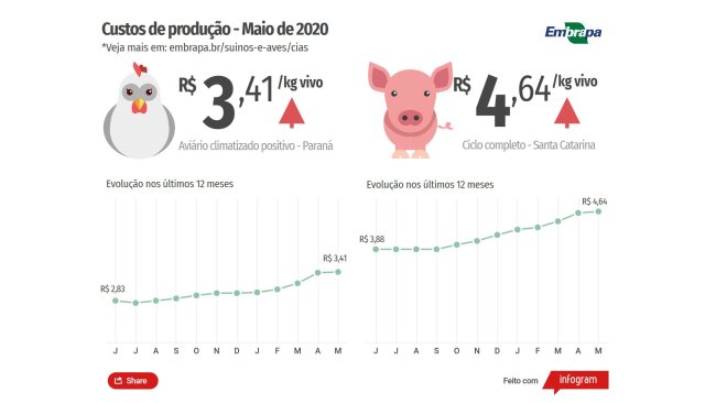Figura 2: Custo de produção por quilo vivo.