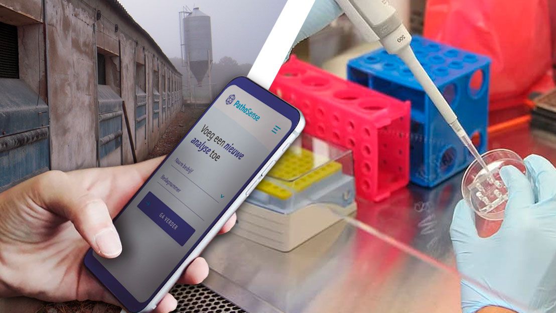 Imagem 2. Ilustra&ccedil;&atilde;o da futura plataforma de diagn&oacute;stico do Dr. Nauwynck.
