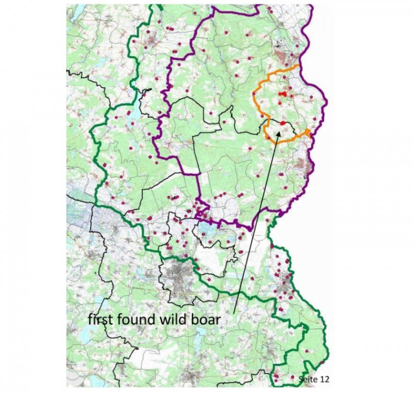 No seguinte mapa podem-se observar os limites da zona n&uacute;cleo (amarelo), infectada (roxo) e tamp&atilde;o (verde) bem como a localiza&ccedil;&atilde;o dos casos de javalis descobertos (asterisco) e das suiniculturas (pontos encarnados). Fonte: MAPA.
