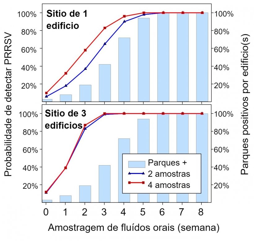 Figura 1. Detecção de PRRSV usando amostragem fixa espacial. Probabilidade de detectar &ge; 1 amostra positiva a PRRSV como função do número de amostras recolhidas por parque (2 ou 4) e número de parques amostrados por exploração (1 ou 3). Note que a probabilidade de detecção aumenta geometricamente com o número de cordas e pavilhões amostrados. Dados de Rotolo et al., (2017). 
