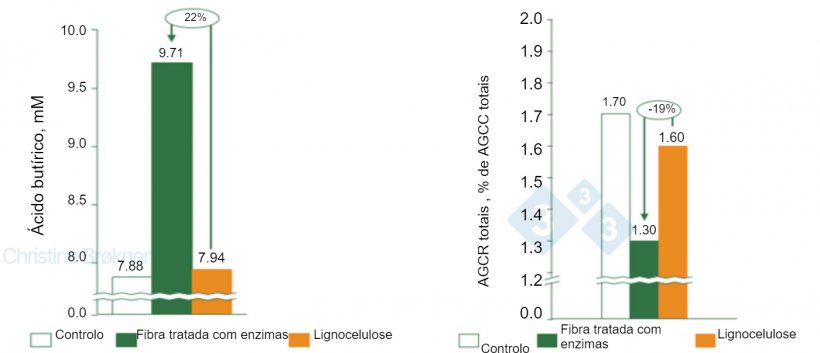 Figura 1. Controlo = não fibra, Fibra tratada com enzimas = PNA solúvel, Lignocelulose&nbsp;= PNA insolúvel.&nbsp;(A) A produção de ácido butírico aumenta 22% em leitões (15 kg) ao fermentar fibra solúvel. (B) A fermentação das proteínas é reduzida 19% em leitões (15 kg) ao fermentar fibra solúvel. AGCC = ácidos gordos de cadeia curta, AGCR = ácidos gordos de cadeia ramificada.
