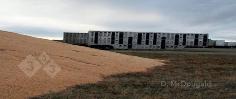 Imagem 2. Proximidade de veículos de transporte contaminados e armazenamento sem protecção. Cortes&iacute;a del Dr. Doug McDougald.
