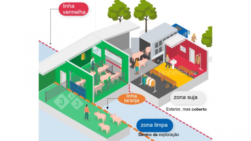 Imagem 1. Cais de carga desenhado para a carregar porcos para um cami&atilde;o. Foi criada uma dupla linha de separa&ccedil;&atilde;o (linha descont&iacute;nua vermelha e laranja) entre as zonas limpa e suja para melhorar a biosseguran&ccedil;a deste processo. Imagem cortesia da Bioiberica.
