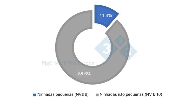 Gráfico 1. Distribuição percentual das ninhadas segundo o tamanho, 2018-2019.