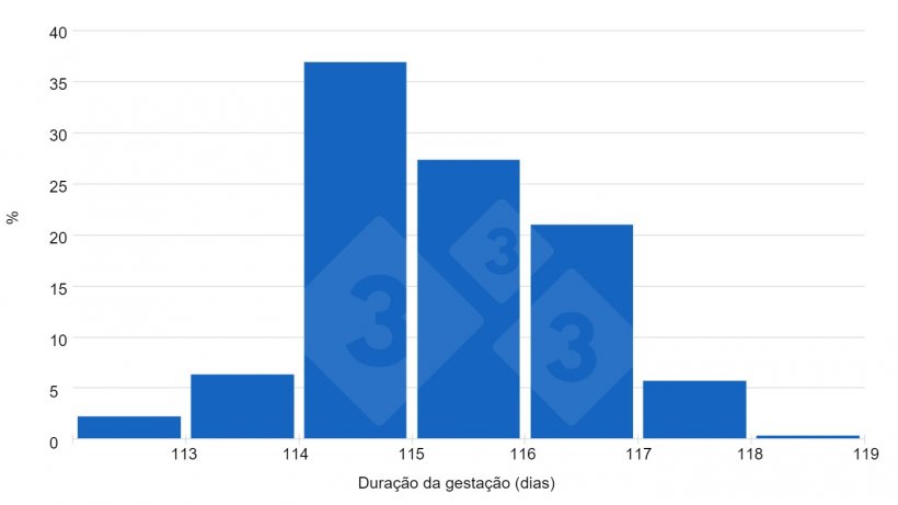 Gráfico 1. As respostas dos utilizadores da 333 indicam uma tendência de gestações superiores a 115 dias.