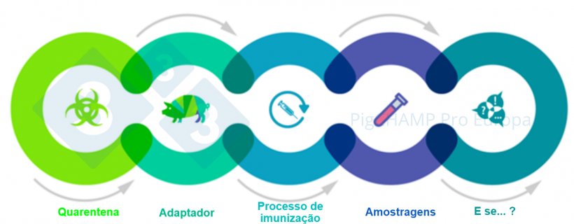 Figura 1. Aspectos chave interrelacionados que devem ser conhecidos antes da visita
