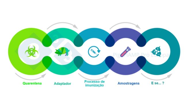 Figura 1. Aspectos chave interrelacionados que devem ser conhecidos antes da visita