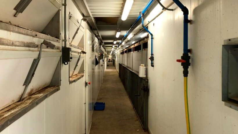 Imagem 2. Uso de pedil&uacute;vios &agrave; entrada das salas de maternidade, assim como as medidas gerais de limpeza e ordem na explora&ccedil;&atilde;o, s&atilde;o importantes para minimizar a press&atilde;o de infec&ccedil;&atilde;o.
