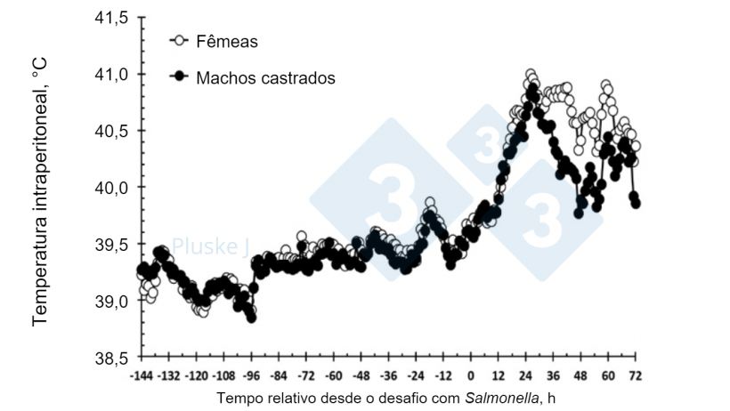 Figura 2. Efeito de ser uma f&ecirc;mea ou um macho castrado na resposta da temperatura intraperitoneal a um desafio oral com Salmonella typhimurium. Houve uma interac&ccedil;&atilde;o sexo-tempo (P < 0,001) na qual as f&ecirc;meas tiveram uma maior temperatura que os porcos castrados entre as 36-63 e as 72 h ap&oacute;s o desafio (Burdick Sanchez et al., 2017).
