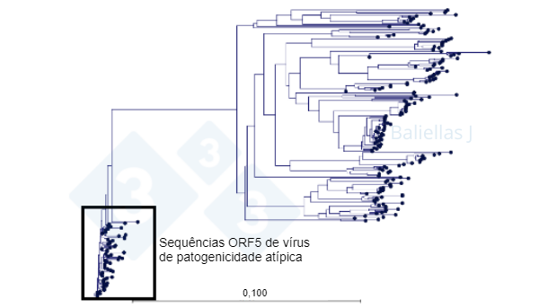 Figura 1: &Aacute;rvore filogen&eacute;tica com o hist&oacute;rico de sequ&ecirc;ncias ORF5 detectadas numa regi&atilde;o no decurso de 4 anos.
