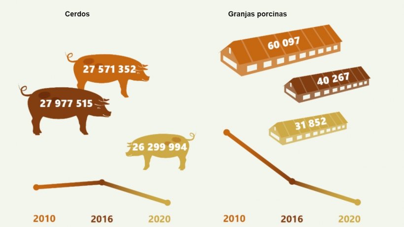 Evoluci&oacute;n del censo y granjas porcinas en Alemania 2010-2020. Fuente: Destatis
