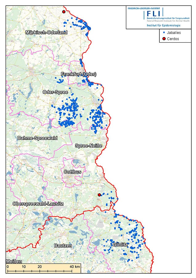 Mapa de casos de PSA na Alemanha (a 16 de Julho de 2021). Fonte: FLI
