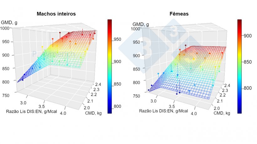 Figura 1. Modelização do efeito da razão lisina-energia e consumo médio diário em machos inteiros e fêmeas entre 70 e 105 kg de peso vivo. GMD=ganho médio diário, CMD=consumo médio diário. Fonte: Aymerich et al., 2020.