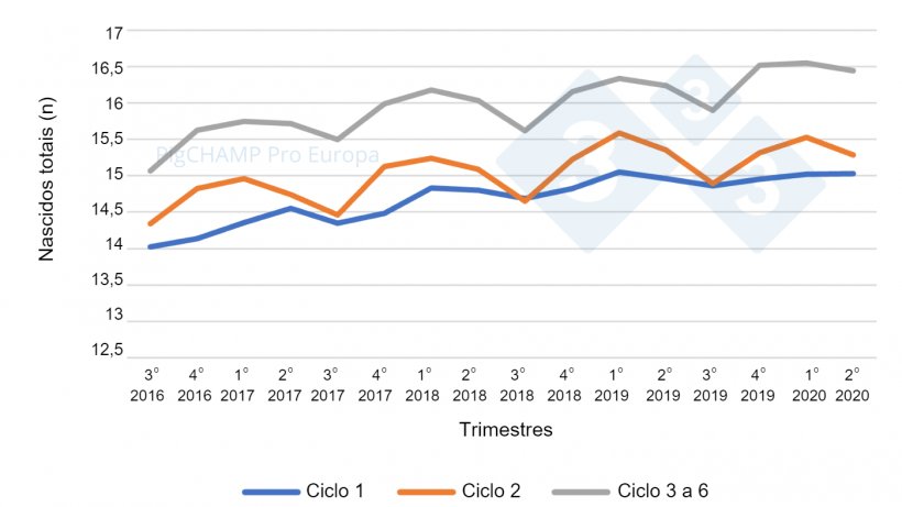 Gr&aacute;fico 5.&nbsp;Prolificidad por ciclo y trimestres de cubriciones, cubriciones periodo Julio 16-Junio 20.
