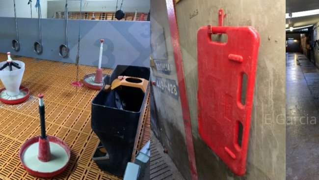 Figura 2. Ter a sala pronta antes que cheguem os leitões e manter todo o material ordenado e limpo faz uma grande diferença quanto a higiene, eficiência e comodidade para os leitões