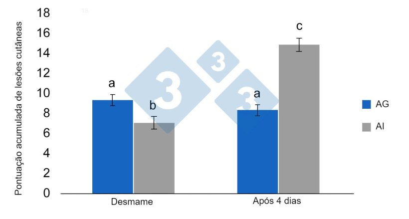 Figura 3. M&eacute;dias de m&iacute;nimos quadrados e erros standart da pontua&ccedil;&atilde;o de les&otilde;es acumuladas em leit&otilde;es desmamados previamente alojados em AG pr&eacute;-desmame (alojamento em grupo) ou em AI (alojamento individual). As diferen&ccedil;as significativas s&atilde;o indicadas com letras diferentes (p <0,05) (de Schrey et al., 2019).
