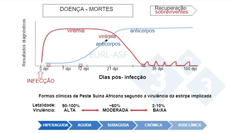 Figura 1. Esquema da detecção de vírus e anticorcorpos, assim como a variabilidade na virulência da estirpe despois da exposição à PSA. Fonte: Laboratório de referência da União Europeia para a PSA.
