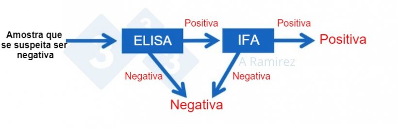 Figura 2. Diagrama demonstrando o uso de PSA IFA como um teste confirmatório para amostras que são inesperadamente positivas para PSA por ELISA. Uma amostra negativa presumível que é negativa por ELISA é considerada negativa. Se esta amostra der inesperadamente um resultado positivo, então um IFA PSA pode ser realizado como um teste de confirmação. Ou seja, se o teste IFA for positivo, a amostra é confirmada como positiva. Se o teste IFA for negativo, presumiremos que foi um falso positivo também contanto que o PCR também seja negativo para confirmar que não há infecção recente. 