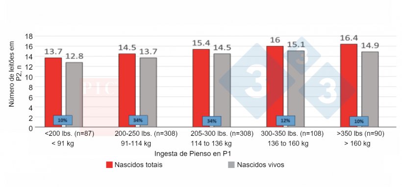 Figura 1.&nbsp;Efecto del consumo de pienso en primer parto&nbsp;sobre el tama&ntilde;o de camada del segundo parto. Vale la pena reducir las bajadas de consumo en las hembras j&oacute;venes. Fuente: Servicios t&eacute;cnicos de PIC Norteam&eacute;rica (no publicado).
