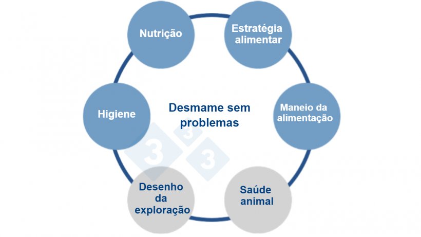 Figura&nbsp;1.&nbsp;Uma abordagem multifactorial para a alimentação sem zinco. Fonte:&nbsp;Vilomix.
