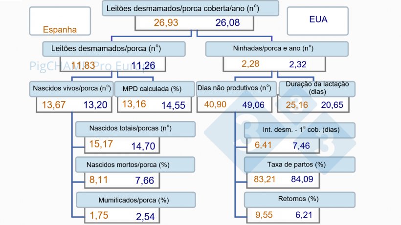 Imagem 1. &Aacute;rvore de produtividade, Espanha vs EUA, 2019.
