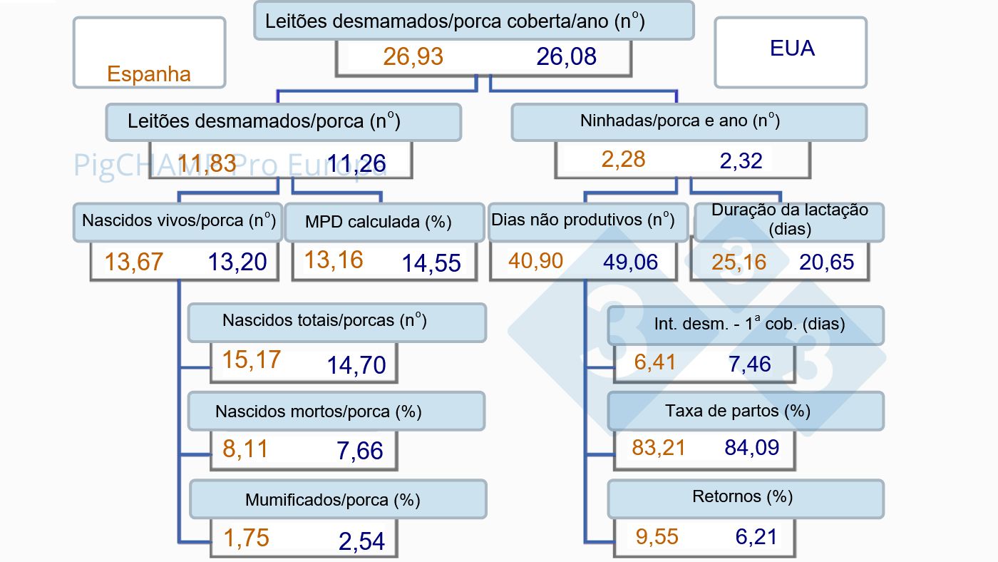 Imagem 1. &Aacute;rvore de produtividade, Espanha vs EUA, 2019.
