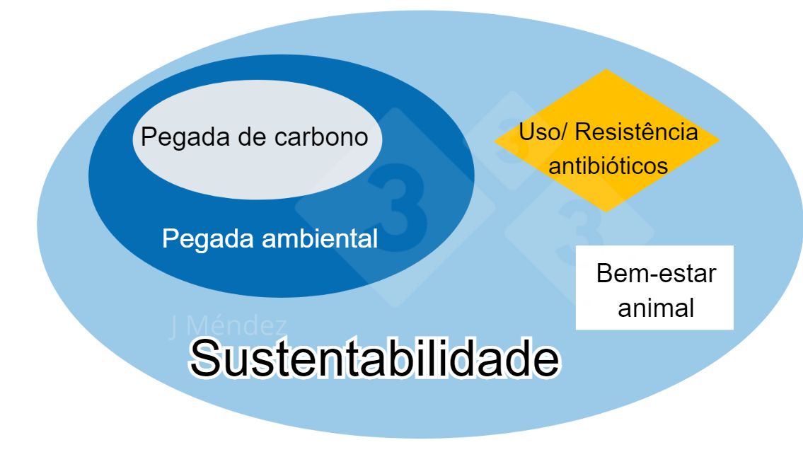 Figura 1. Principais conceitos de sustentabilidade
