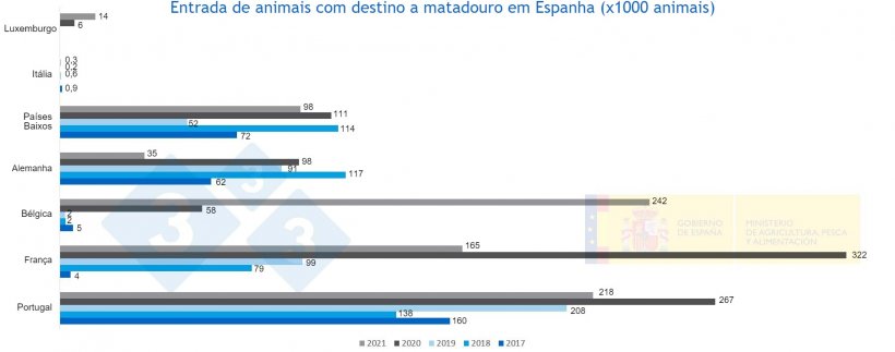 Figura 3. Entrada de animais com destino matadouro em Espanha de 2017 a 2021. Fonte MAPA.
