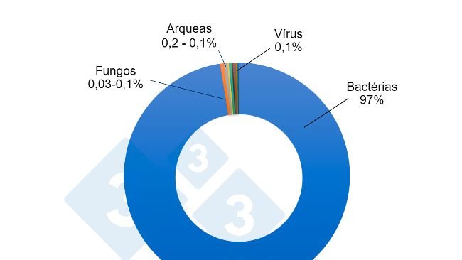 Figura 1 - Estimativa da proporção relativa dos diferentes microrganismos no microbioma intestinal de suínos. Embora as bactérias representem a grande maioria dos micróbios do intestino do porco, outros microrganismos desempenham um papel importante na complexa rede que constitui a interacção entre o intestino e a microbiota.