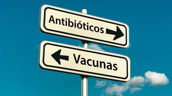 A intensificação da produção de rações e o aparecimento de novos sistemas de produção (tais como "Criado sem antimicrobianos" ou sistemas biológicos") resultou no aparecimento ou ressurgimento de agentes patogénicos. Estas novas tendências sociais, associadas ao desejo de reduzir a utilização de antimicrobianos na produção animal, realçam a importância de melhorar as vacinas existentes e/ou desenvolver novas estratégias de vacinação para combater os agentes patogénicos emergentes ou reemergentes.